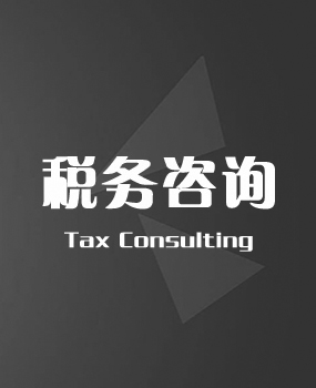 稅務(wù)咨詢