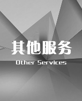 其他服務(wù)