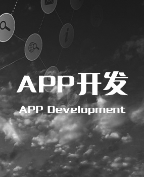APP開發(fā)